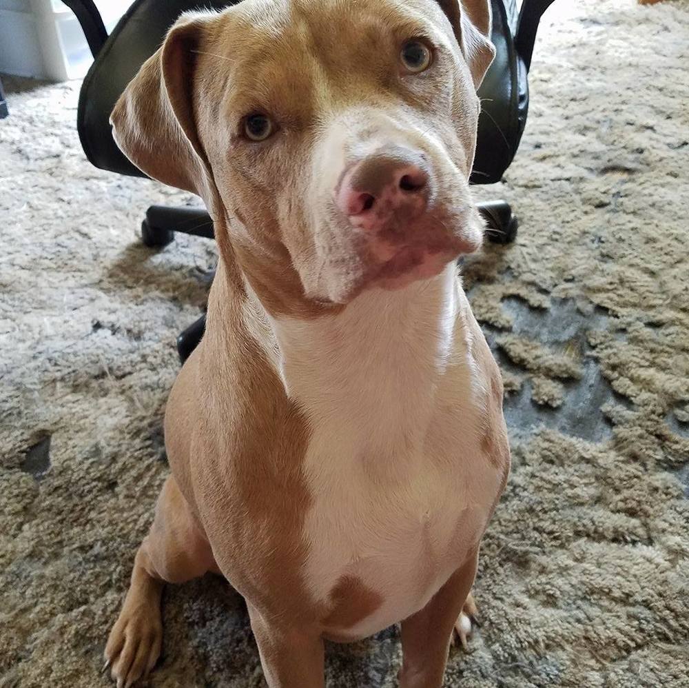 Meet your Posher, Cheryl